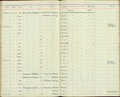 Image of Henicorhina leucophrys collina Bangs 1902