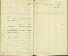 Plancia ëd Picus puniceus soligae Meyer de Schauensee & Ripley 1940