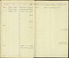 Anthracothorax nigricollis (Vieillot 1817) resmi