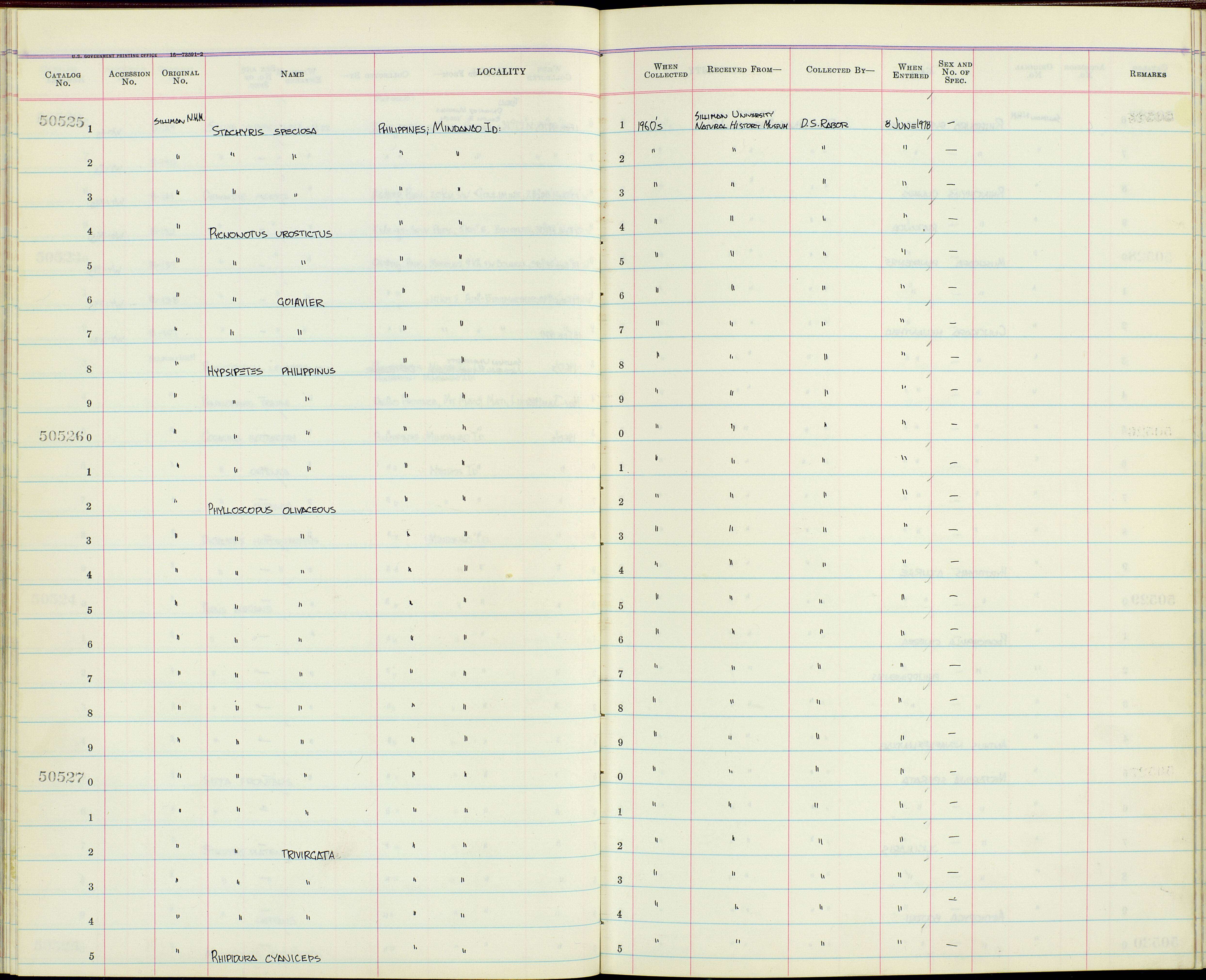 Слика од Aethopyga boltoni Mearns 1905