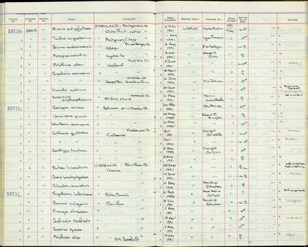 Geothlypis trichas (Linnaeus 1766) resmi