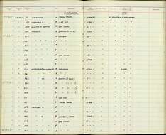 Plancia ëd Erpornis zantholeuca sordida Robinson & Kloss 1919