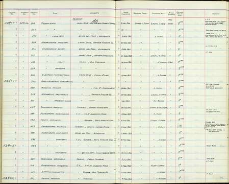 Chloroceryle inda chocoensis Todd 1943 resmi