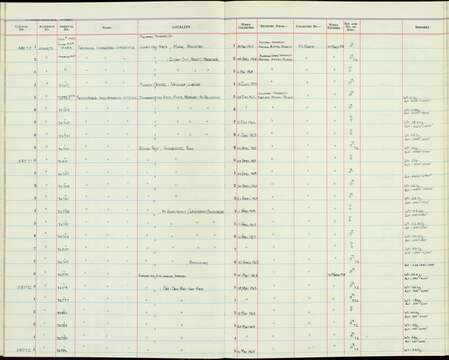 Image de Terpsiphone cinnamomea cinnamomea (Sharpe 1877)