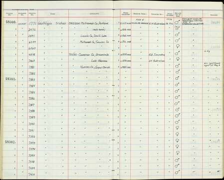 Geothlypis trichas (Linnaeus 1766) resmi