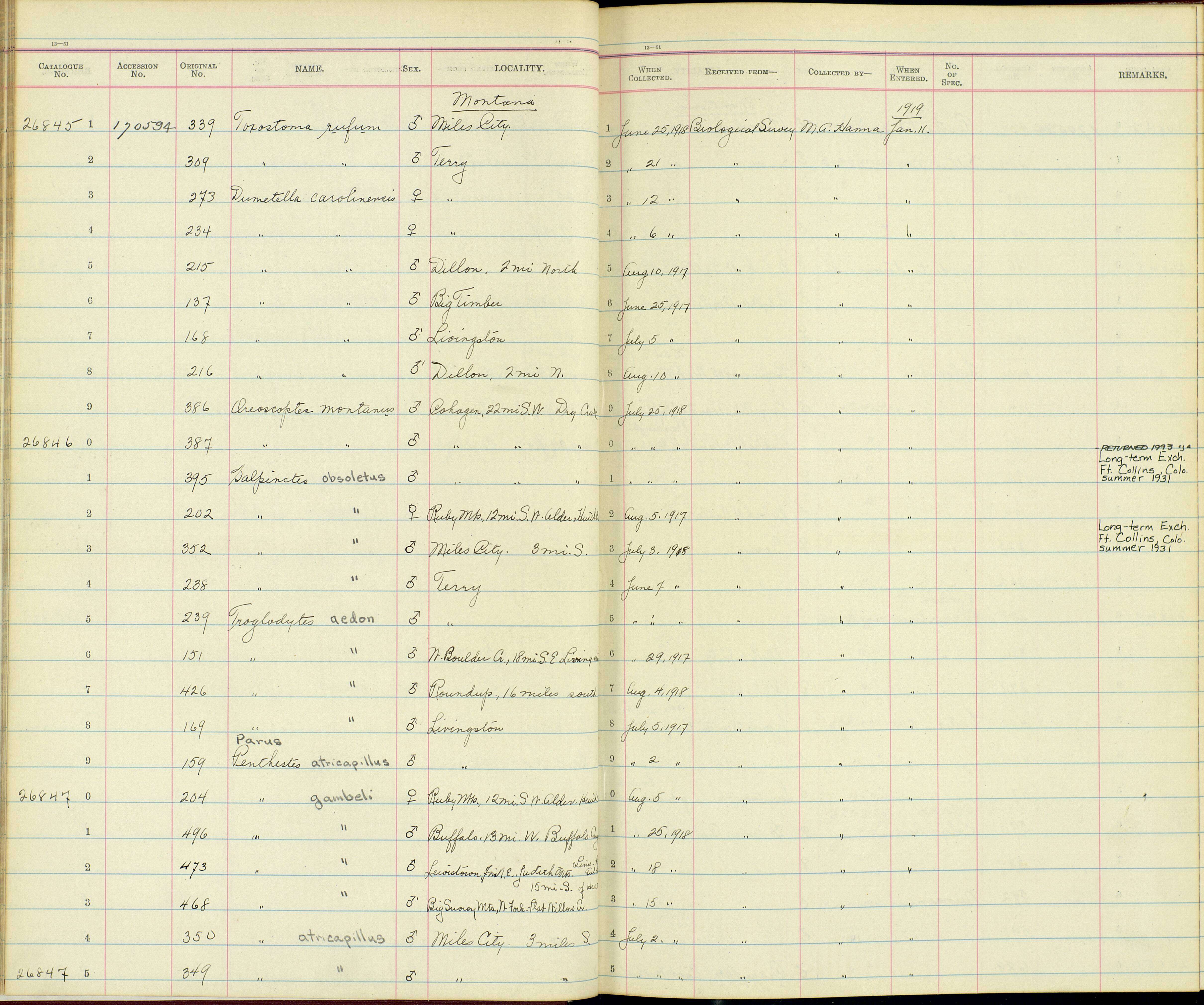 Plancia ëd Oreoscoptes Baird & SF 1858