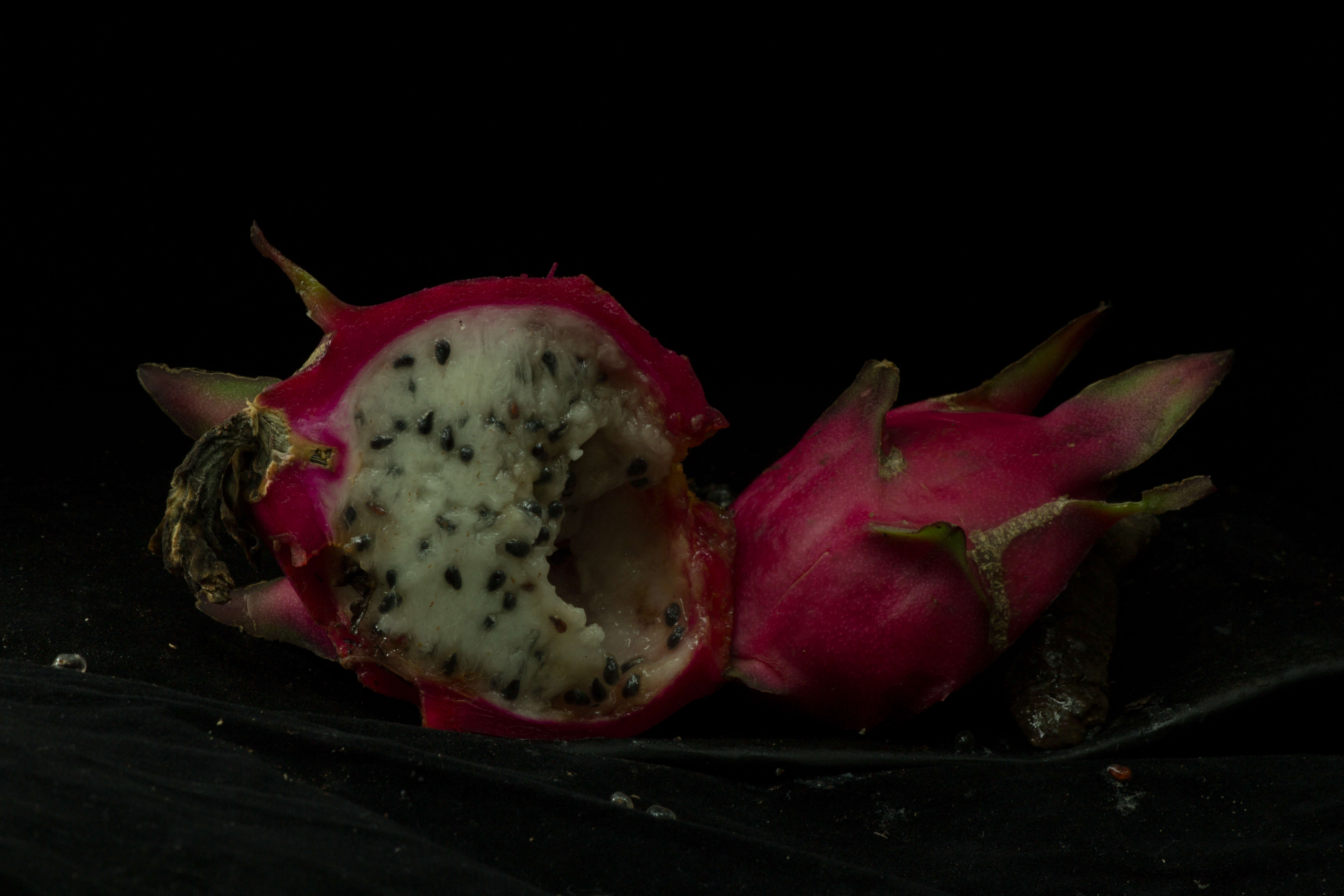 Image of dragon fruit