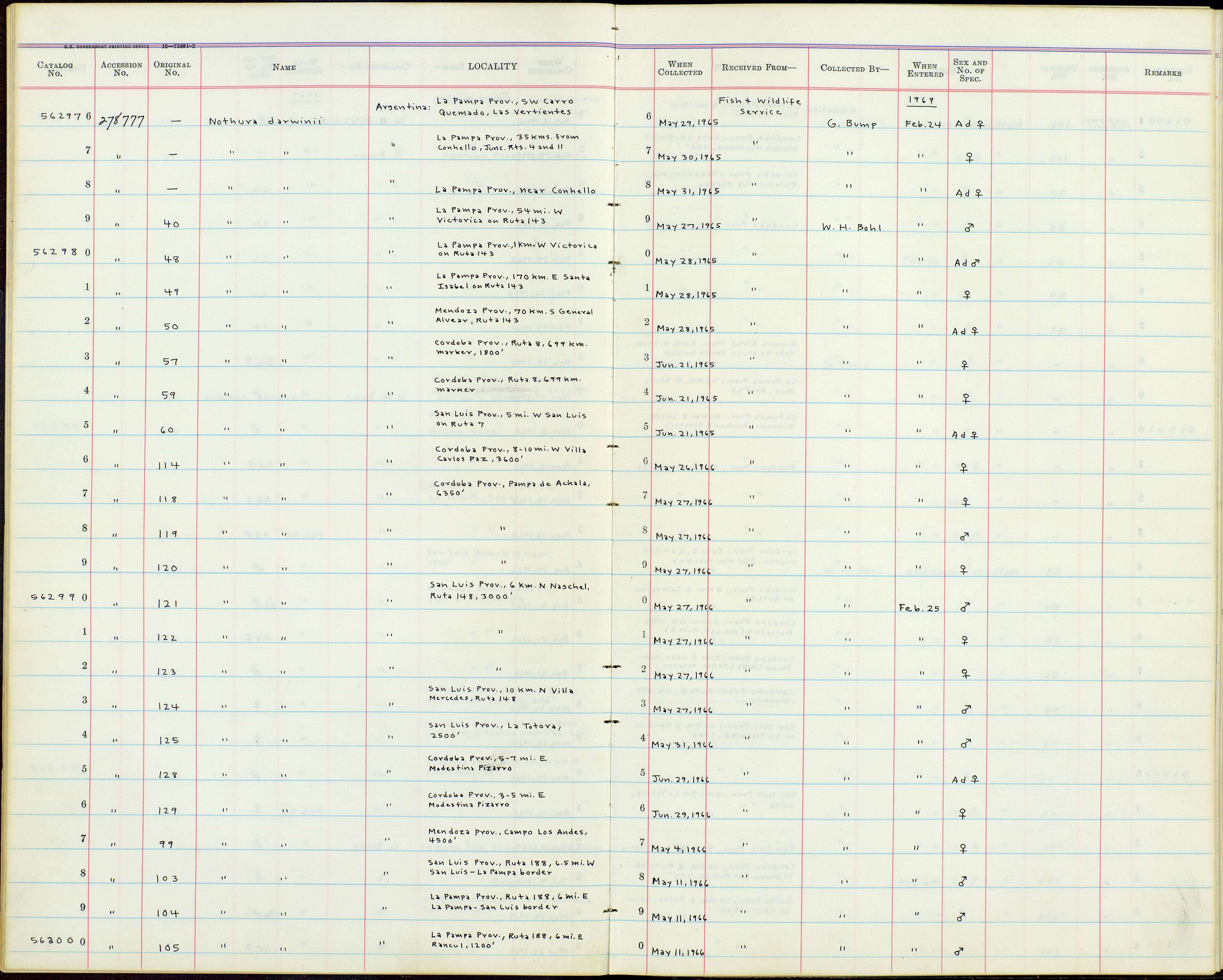 Plancia ëd Nothura darwinii Gray & GR 1867