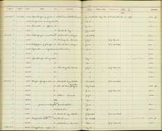 Eucometis penicillata affinis Berlepsch 1888的图像
