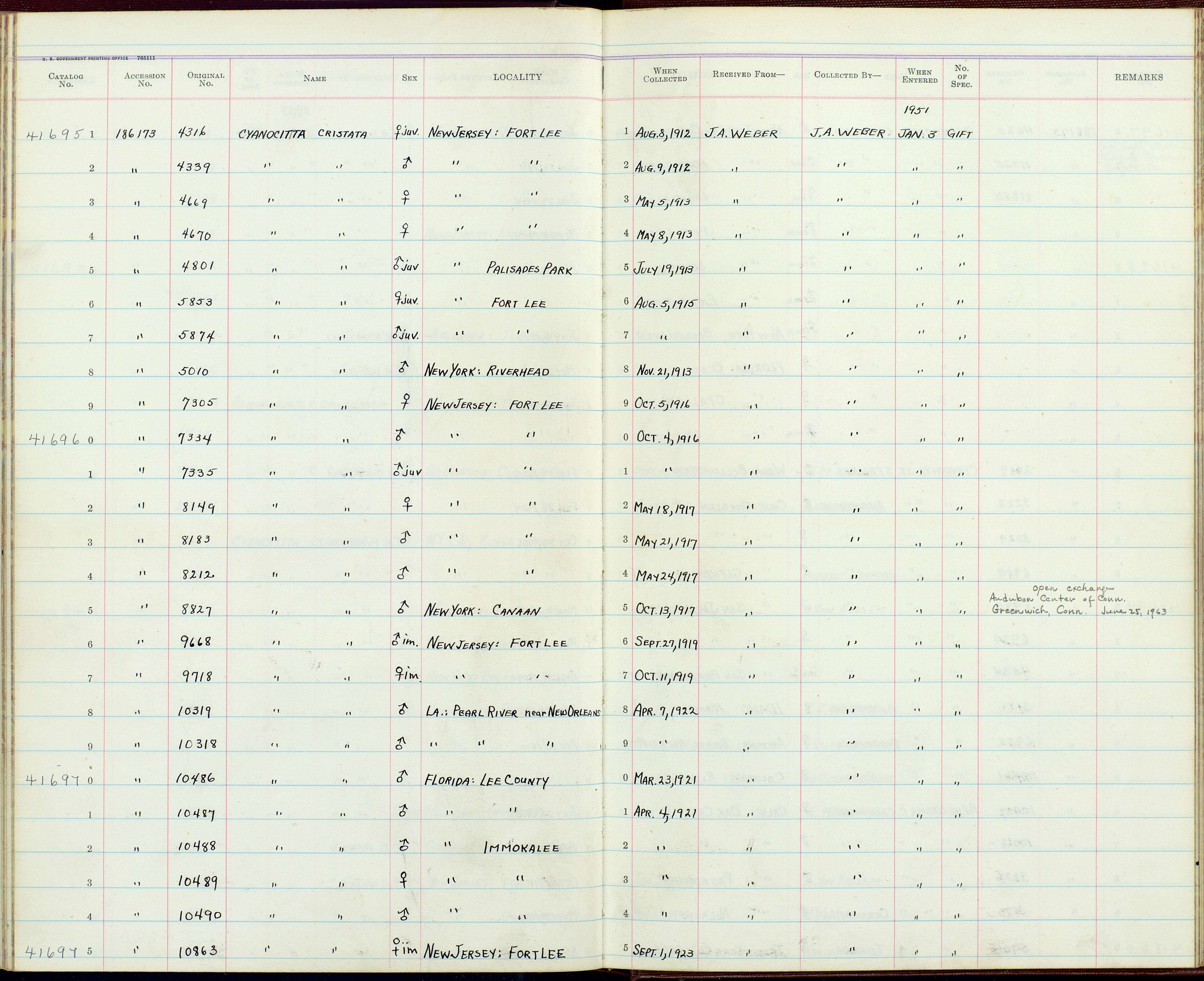 Image of Cyanocitta cristata semplei Todd 1928