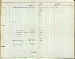 Image of Hypothymis Boie & F 1826