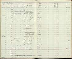 Image de Ficedula hyperythra annamensis (Robinson & Kloss 1919)