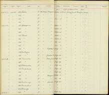 Plancia ëd Sphyrapicus varius nuchalis S. F. Baird 1858