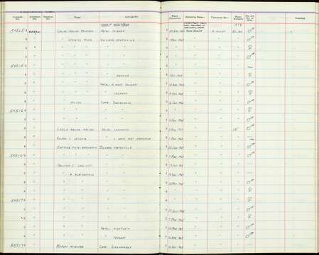 Colius colius (Linnaeus 1766) resmi