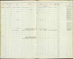 Nectarinia kilimensis Shelley 1885的圖片