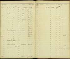 Image de Dicrurus annectans (Hodgson 1836)