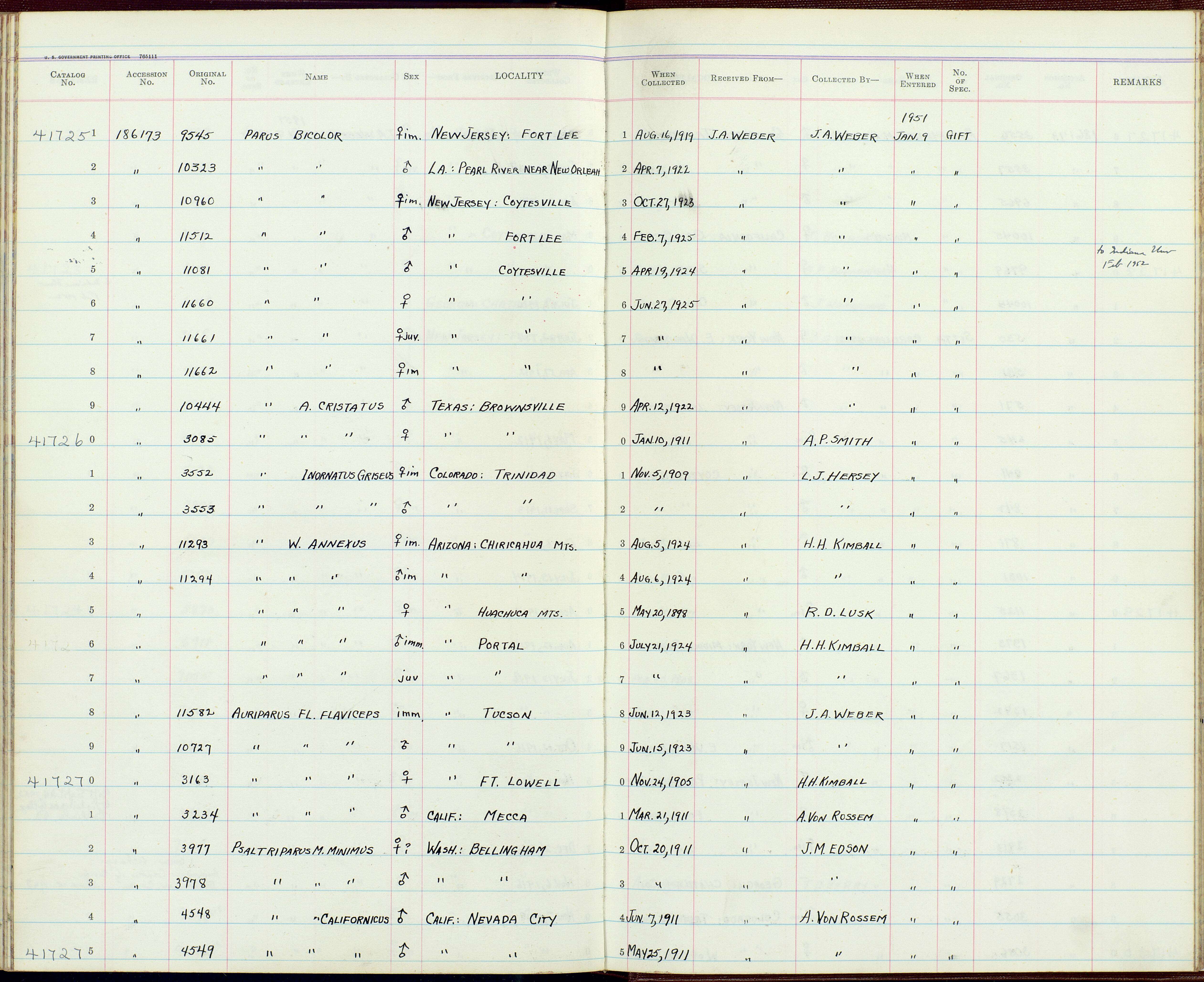 Image of Parus wollweberi phillipsi van Rossem 1947