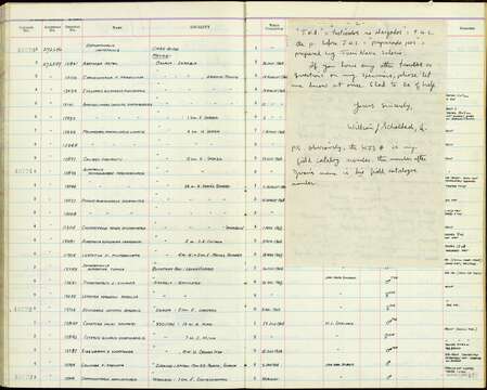 صورة Chloroceryle aenea stictoptera (Ridgway 1884)