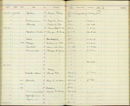 Image of Pinicola enucleator carlottae Brooks & AC 1922