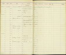 Geothlypis trichas campicola Behle & Aldrich 1947 resmi