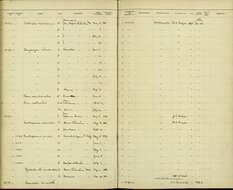 Слика од Troglodytes aedon cahooni Brewster 1888