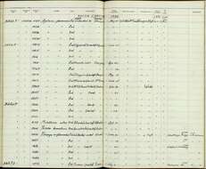 Слика од Agelaius phoeniceus mearnsi Howell, AH & Van Rossem 1928