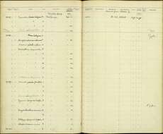 Image of Malacopteron magnirostre magnirostre (Moore & F 1854)