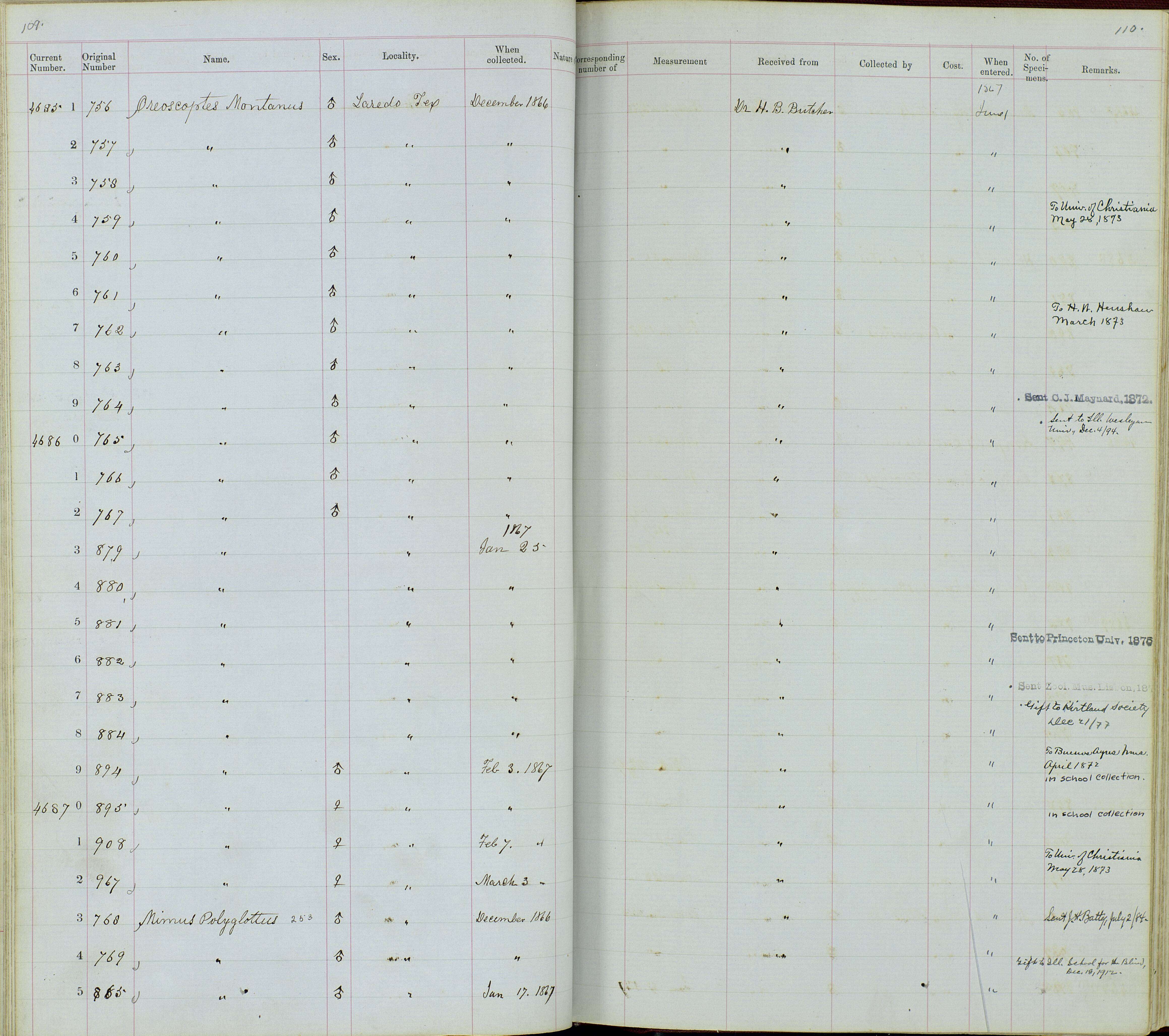 Plancia ëd Oreoscoptes Baird & SF 1858