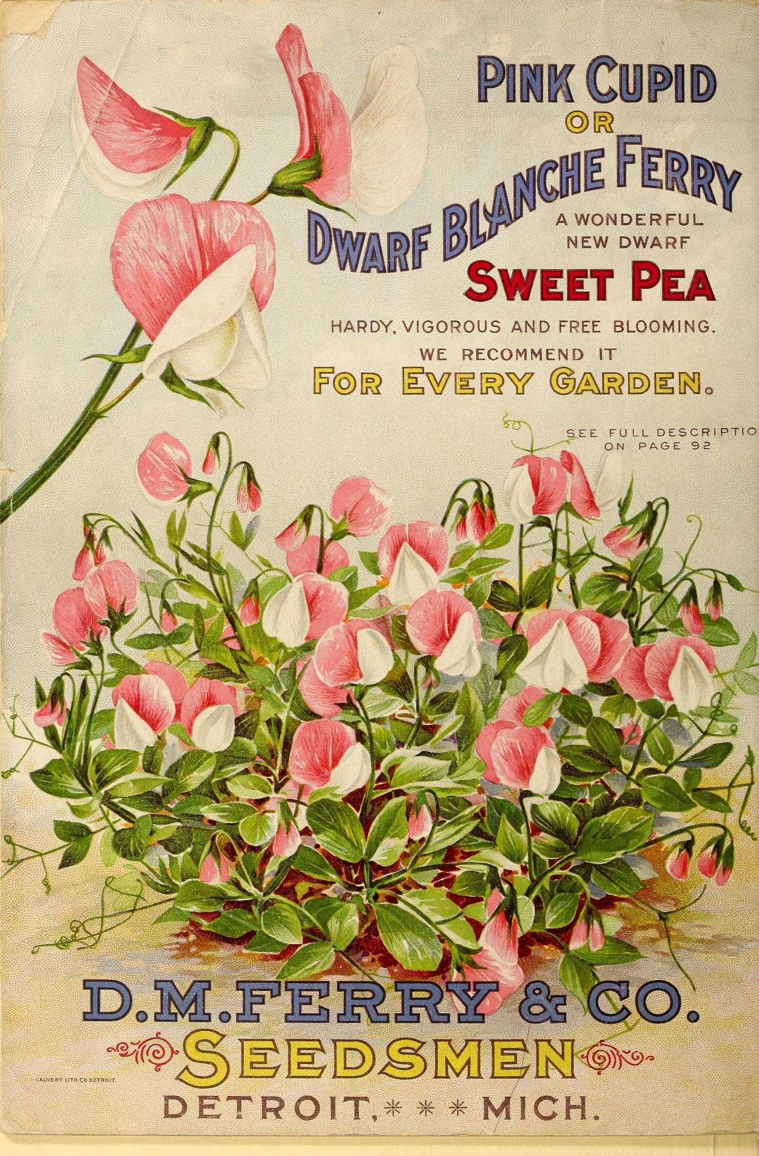Image of Sweet Pea