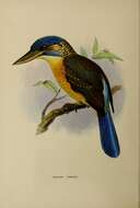 Image of Blue-capped Kingfisher