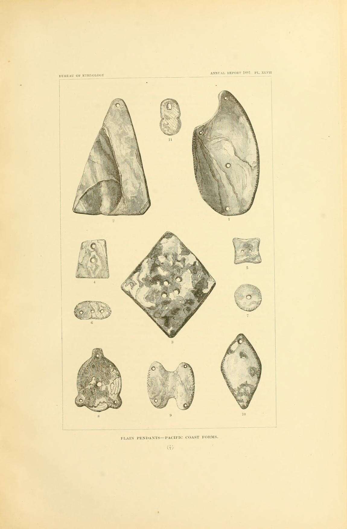 Image de Haliotis rufescens Swainson 1822