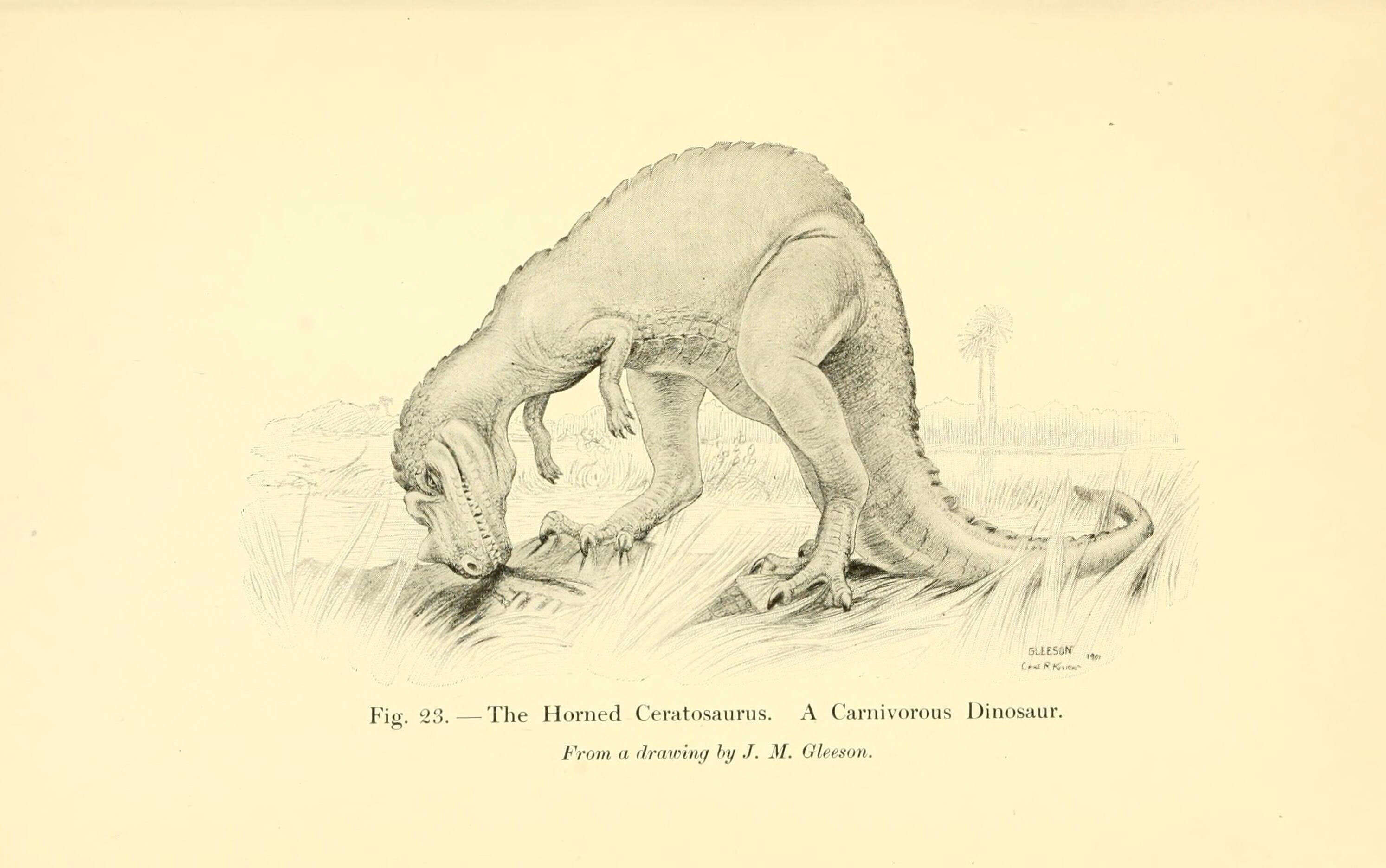 Ceratosaurus Marsh 1884的圖片