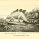 Imagem de Stegosaurus stenops Marsh 1887