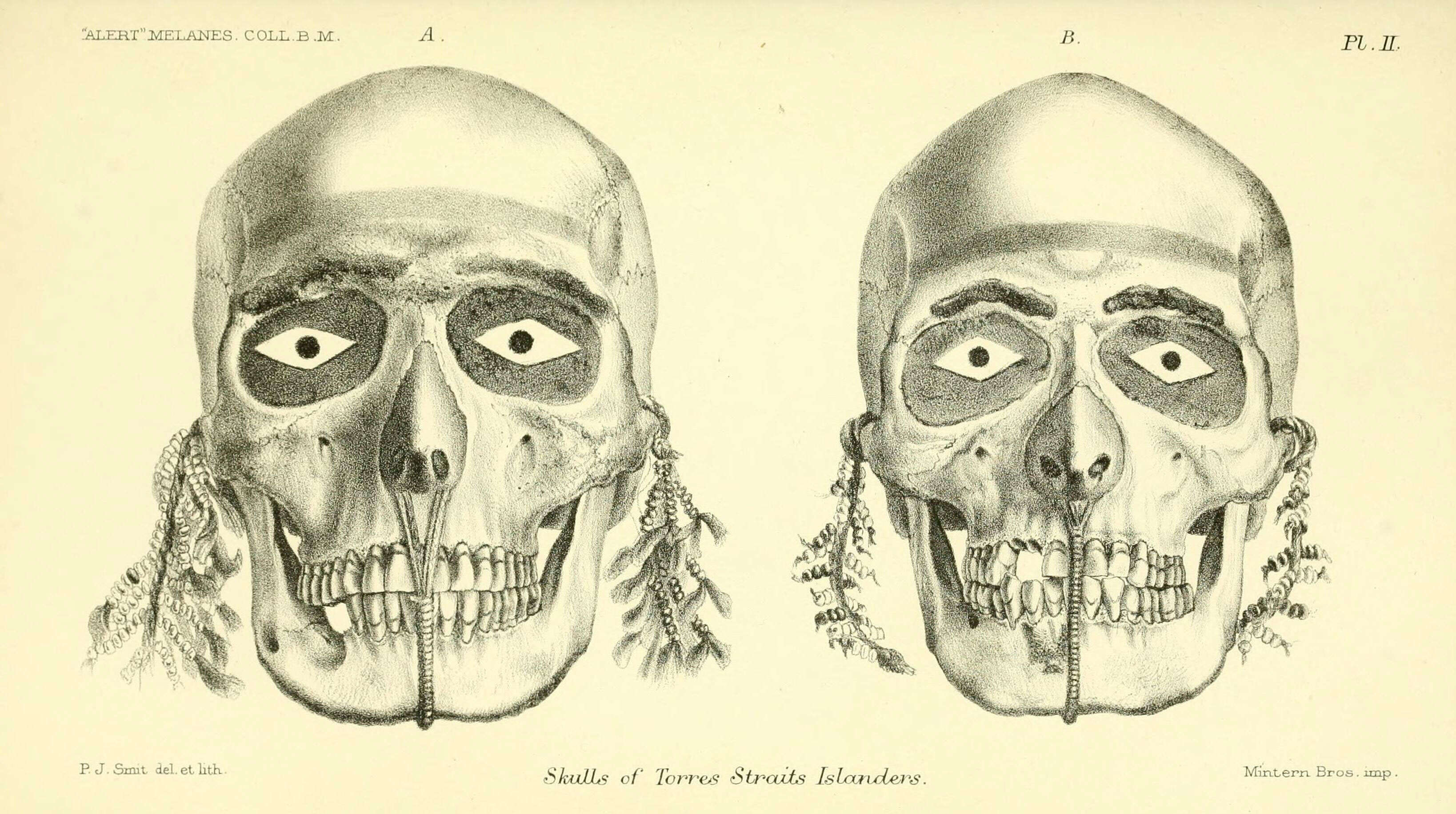 Image of Humans