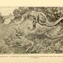 Imagem de Dryptosaurus Marsh 1877