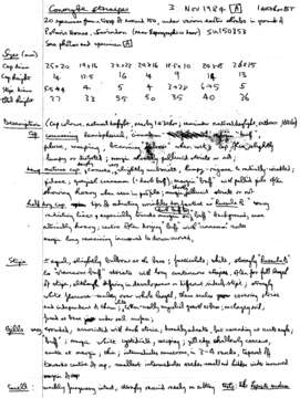 Plancia ëd Conocybe striipes (Cooke) S. Lundell 1953