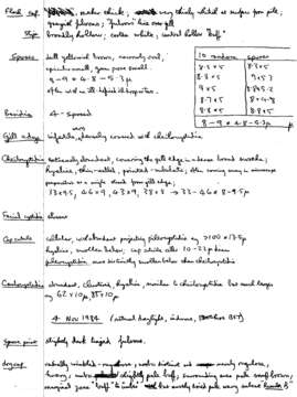 Plancia ëd Conocybe striipes (Cooke) S. Lundell 1953