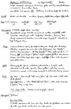 Phylloporus pelletieri (Lév.) Quél. 1888的圖片