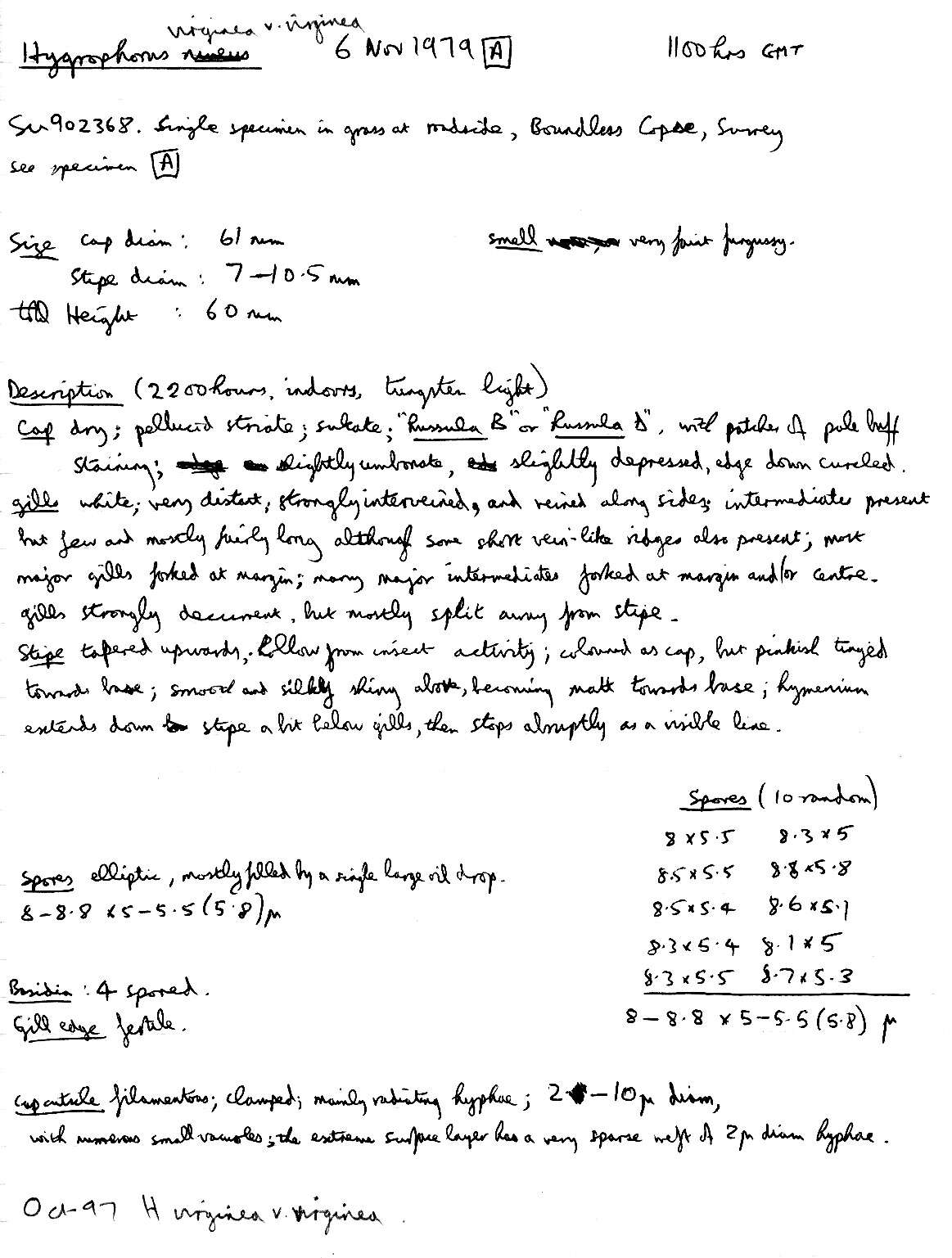 Image of Cuphophyllus virgineus (Wulfen) Kovalenko 1989