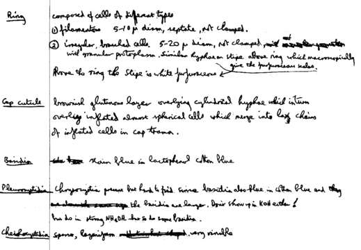 Image de Panaeolus semiovatus (Sowerby) S. Lundell & Nannf. 1938