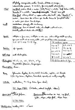 Image de Conocybe arrhenii (Fr.) Kits van Wav. 1970