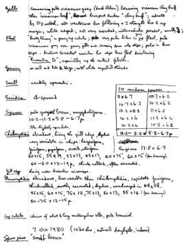 Image of Inocybe griseolilacina J. E. Lange 1917