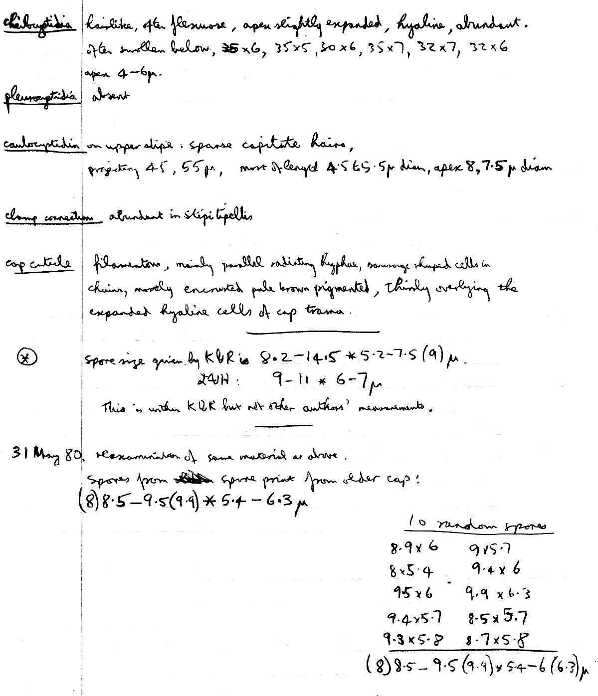 Image de Galère des hypnes