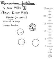 Imagem de Lycoperdon nigrescens Pers. 1794