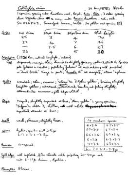 Image of Gymnopus ocior (Pers.) Antonín & Noordel. 1997