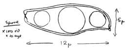 Image of Xerocomellus porosporus (Imler ex Watling) Šutara 2008