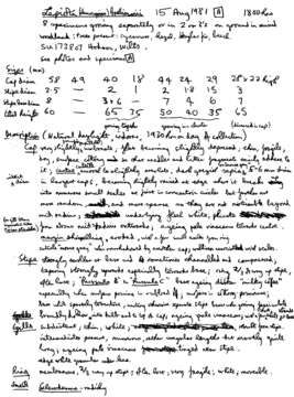 Image of Leucocoprinus brebissonii (Godey) Locq. 1943