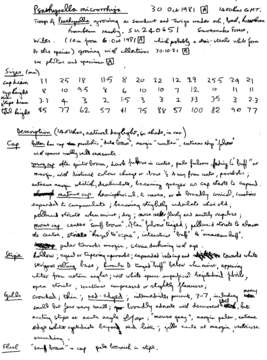 Image de Psathyrella microrhiza (Lasch) Konrad & Maubl. 1949