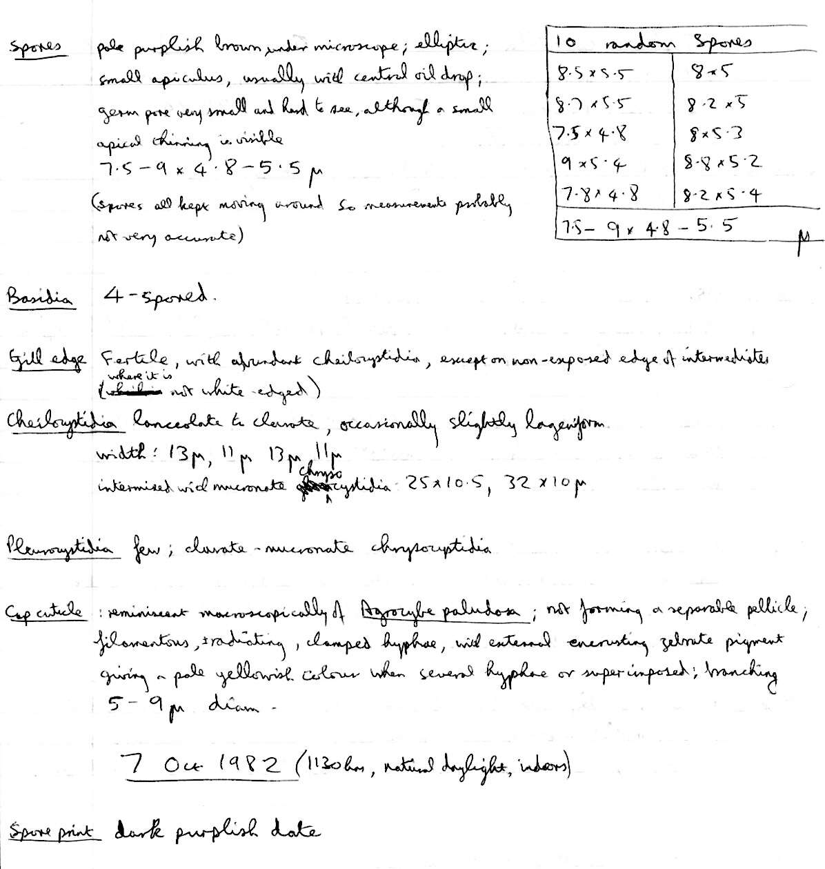 Image of Psilocybe coronilla (Bull.) Noordel. 1995