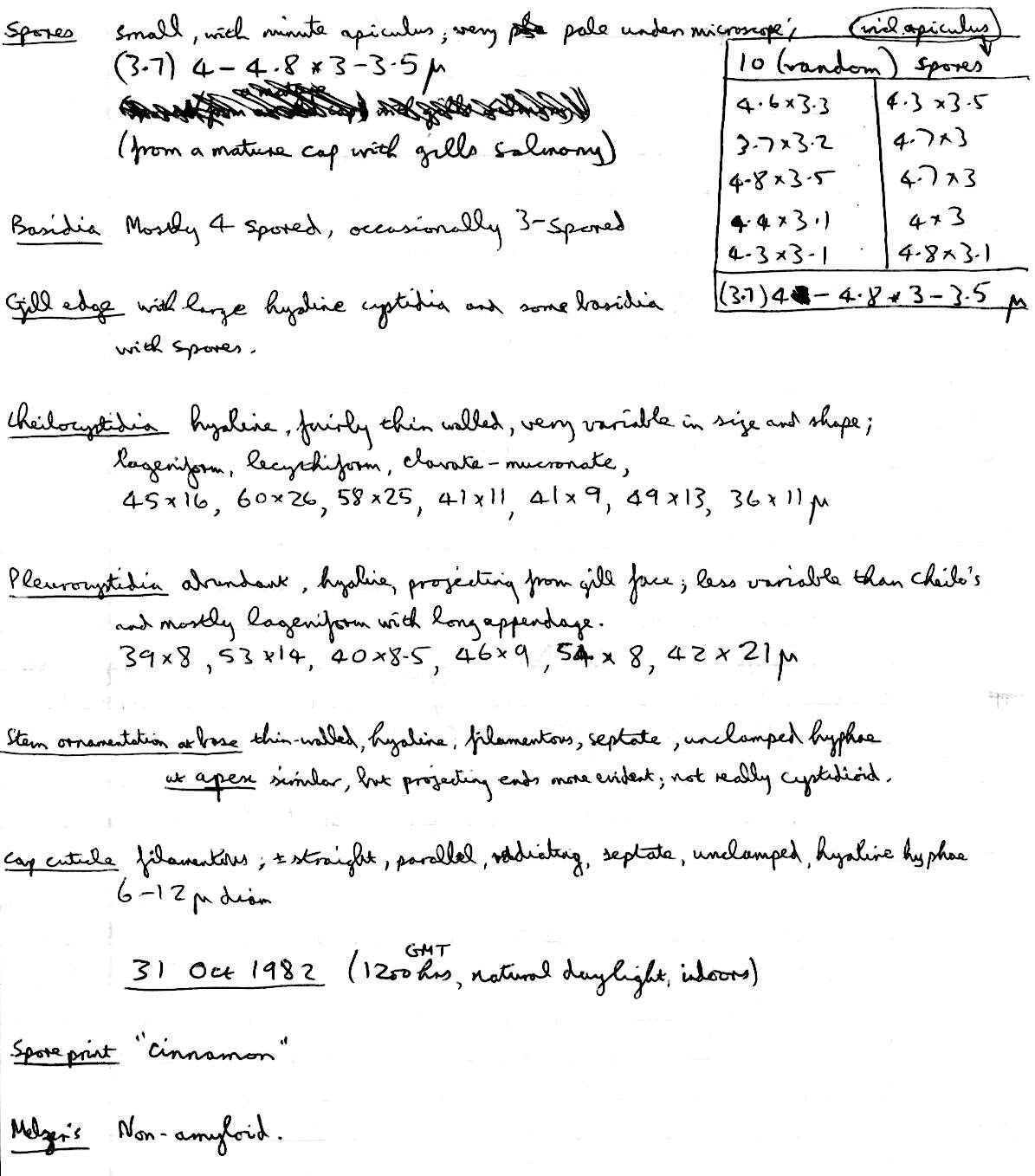 Image de Volvariella reidii Heinem. 1978